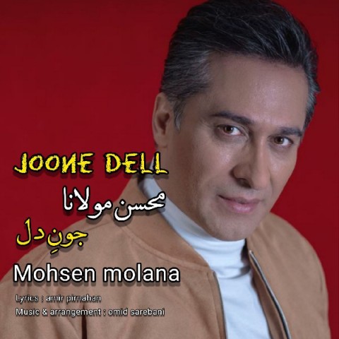 محسن مولانا جون دل